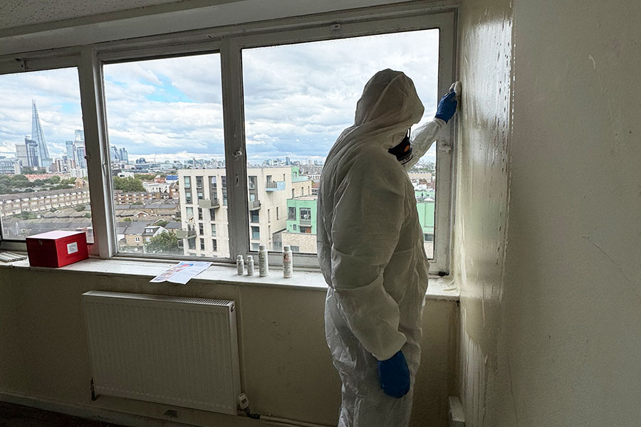 Mould Remediation Mould Remediation