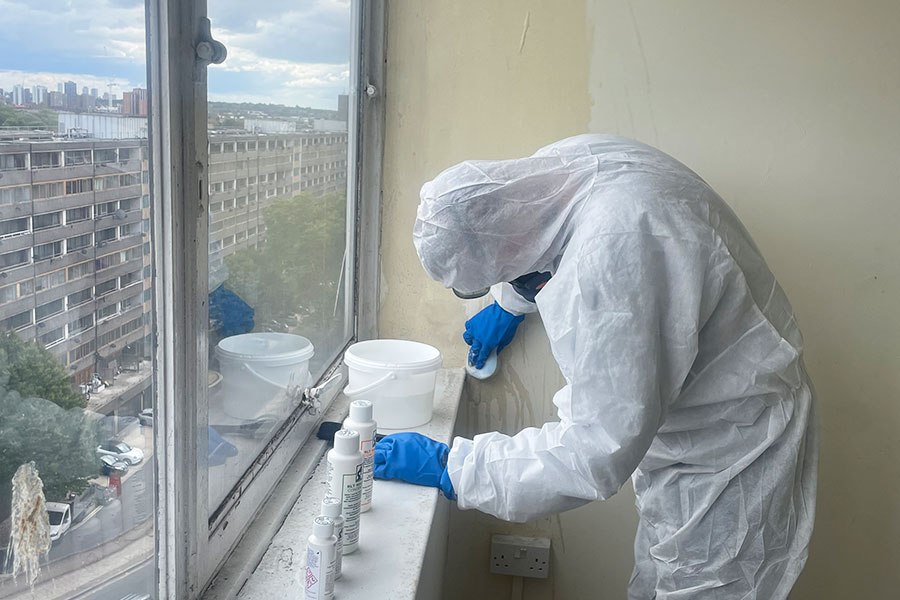 Mould Remediation Mould Remediation